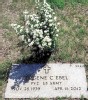 GS Eugene C. 'Gene' Ebel