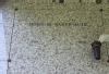 BAKER, Doris M