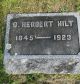 Daniel Herbert HILT