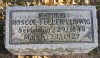 GS_Dr Roscoe Fuller Ludwig