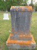 Laura Mank 1859-1914
