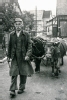 Reinhold Klein (Nickels Reinhold)-Heimweg vom Feld mit seinen Kühen-Aufnahme ca. 1959