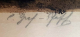 Unterschrift-Graf_Pfaff_Cacilie Unterschrift-Graf_Pfaff_Cacilie