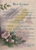 Aileen Louise Zimmer Baptism 8 Jul 1913 KS