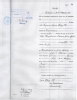 Birth Cert Anna Ott 1904a