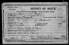 Raymond Beyer Birth Certificate