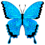 #6