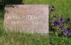Arnold F TEAGUE