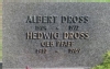 Albert DROSS